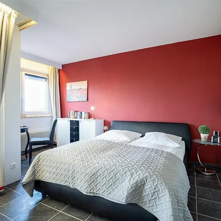 Berolina Balkonfeuer * 达默